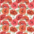 Red poppy seamless pattern. Watercolor wild flowers print for design. Floral meadow illustration on white background Royalty Free Stock Photo