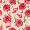 Watercolor poppy flowers