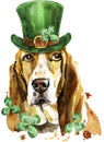 Watercolor portrait of basset hound wearing a leprechaun hat with clover leaves