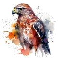 Watercolor portrait of a beautiful red tailed hawk in colorful, bright, vibrant, and trippy colors