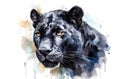 Watercolor black panther. Royalty Free Stock Photo