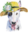 Watercolor portrait of bull terrier with silver crown