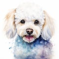 Watercolor Portrait Of A Calm And Cute Poodle Dog