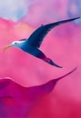 Watercolor portrait of cute albatrosses bird. Royalty Free Stock Photo