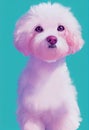 Watercolor portrait of cute Bichons Frises dog.