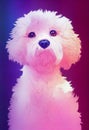 Watercolor portrait of cute Bichons Frises dog.