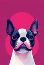 Watercolor portrait of cute Boston Terrier Dog. Royalty Free Stock Photo