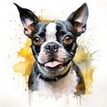 watercolor portrait of a cute Boston Terrier dog on a white background generative AI Generative AI Royalty Free Stock Photo