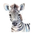 Watercolor portrait of cute zebra isolated on white background Royalty Free Stock Photo