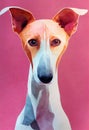Watercolor portrait of cute Ibizan Hound dog.