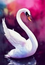 Watercolor portrait of cute swan bird. Royalty Free Stock Photo