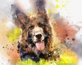 Watercolor portrait of German Shepherd dog