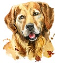 Watercolor portrait of golden retriever