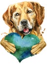 Watercolor portrait of golden retriever with green heart Royalty Free Stock Photo