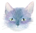 Watercolor portrait of gray cat