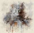 Watercolor Portrait illustration of a gray domestic cat with green eyes laying on the floor Royalty Free Stock Photo