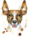 Watercolor Portrait Of Jack Russell Terrier