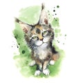 Watercolor portrait of a kitten. Lynx kitten wildlife.