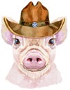 Watercolor portrait of mini pig in cowboy hat Royalty Free Stock Photo