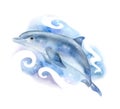 Blue dolphin with abstract blue background isolated on white background. Watercolor. Royalty Free Stock Photo