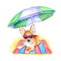 Happy Summertime Dog Chihuahua Laying at the Beach Under an Umbrella