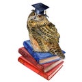 Owl. Filin and books.Graduate hat. Education. Illustration