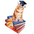 Scientist\'s cat. Books. Graduate hat. Education. Illustration Royalty Free Stock Photo