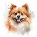 Watercolor Portrait Of Playful Pomeranian Dog With Lively Expression