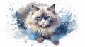 Watercolor portrait of a ragdoll cat on a white background with splashes