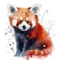Watercolor portrait of a red panda with colorful, bright, vibrant, and trippy colors
