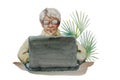 Watercolor portrait of a Senior woman in front of a laptop computer, with green palm plant on background. Journalist or