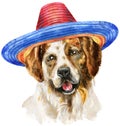 Watercolor portrait of tricolor dog in mexican hat