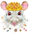 Watercolor portrait of white rat with golden crown and splashes