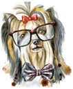 Watercolor portrait of yorkshire terrier breed dog with bow-tie and glasses