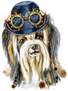 Watercolor portrait of yorkshire terrier breed dog with hat bowler and steampunk glasses Royalty Free Stock Photo