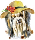 Watercolor portrait of yorkshire terrier breed dog with summer hat. Royalty Free Stock Photo