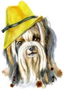 Watercolor portrait of yorkshire terrier breed dog with yellow hat. Royalty Free Stock Photo