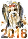 Watercolor Portrait Of Yorkshire Terrier Breed Dog. Royalty Free Stock Photo