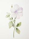 Watercolor Portrayal of Lapeirousia Oreogena Flower on White Canvas AI Generated