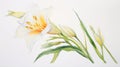 Watercolor Portrayal of Zephyranthes Minuta Flower on White Canvas AI Generated