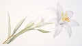 Watercolor Portrayal of Zephyranthes Minuta Flower on White Canvas AI Generated