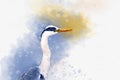 Watercolor - portret of a heron. Hand drawn watercolor heron perfect for design greeting card or print