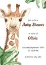 Watercolor poster with cute giraffe, baby shower, nursery decoration, baby illustration, safari. Royalty Free Stock Photo