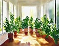 Watercolor of potted ferns placed around the floor of a sunlit sunroom