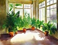 Watercolor of potted ferns placed around the floor of a sunlit sunroom