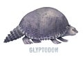 Watercolor prehistoric glyptodon isolated on white background.
