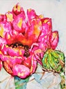 Watercolor Prickly Pear Cactus, Opuntia,  in Bloom Royalty Free Stock Photo