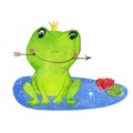 watercolor princess frog Royalty Free Stock Photo