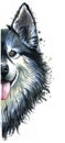 Watercolor printshop, print on the theme of the breed of dogs, mammals, animals, breed English bulldog, bulldog, portrait, color r