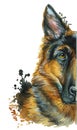 Watercolor printshop, print on the theme of the breed of dogs, mammals, animals, breed German shepherd, portrait, color red-black,